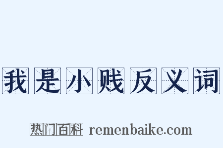 我是小贱反义词是什么意思的图片